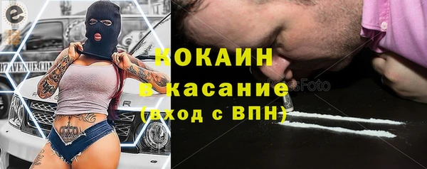 амф Пестово