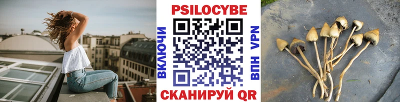 Псилоцибиновые грибы Magic Shrooms  Порхов 